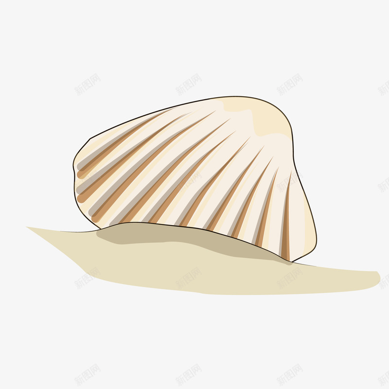 扁平海边夏日贝壳矢量图eps免抠素材_新图网 https://ixintu.com PNG免抠图 夏日 扁平 海边 白色 贝壳 矢量图