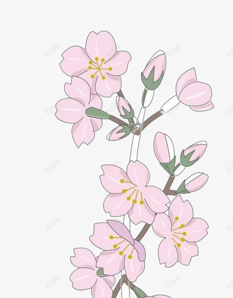 手绘卡通桃花花朵花苞png免抠素材_新图网 https://ixintu.com 卡通 卡通桃树 手绘 桃树 桃花 桃花枝 花朵 花枝 花苞