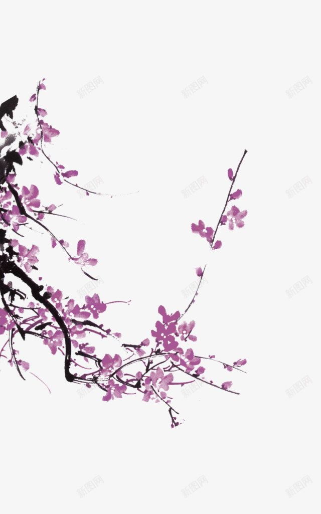 紫色清新花枝装饰图案png免抠素材_新图网 https://ixintu.com 免抠PNG 清新 紫色 花枝 装饰图案