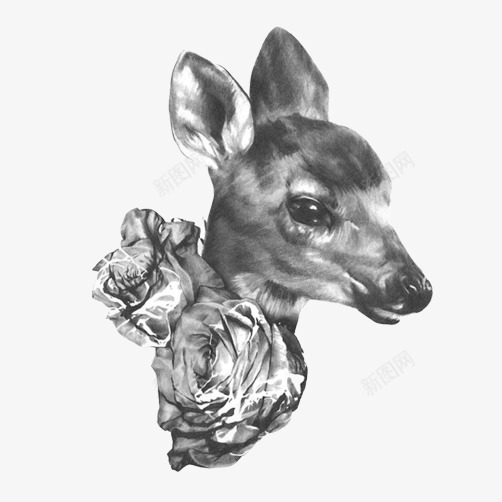 小鹿素描头像片png免抠素材_新图网 https://ixintu.com 头像 小鹿 素描 黑白