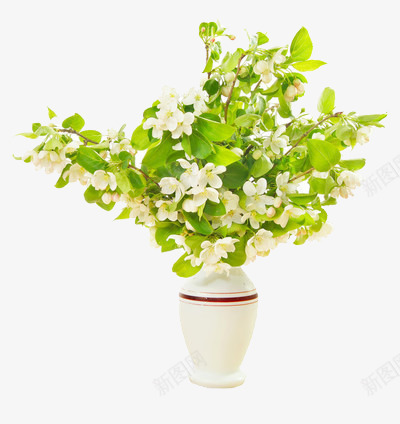 白色花瓶的里的花枝png免抠素材_新图网 https://ixintu.com 白色 绿色 花枝 花瓶