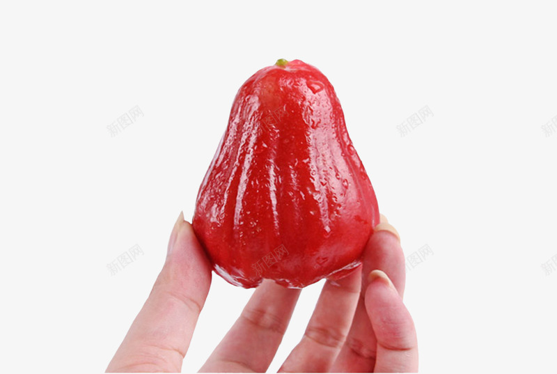 手捧黑金刚png免抠素材_新图网 https://ixintu.com 果肉多汁 稀有水果 红色水果 莲雾