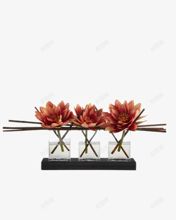 红色多肉植物装饰玻璃花瓶png免抠素材_新图网 https://ixintu.com 植物 玻璃 红色 花瓶 装饰 装饰花瓶