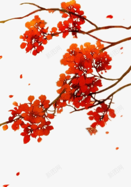 红色小花花枝手绘png免抠素材_新图网 https://ixintu.com 小花 手绘 红色 花枝