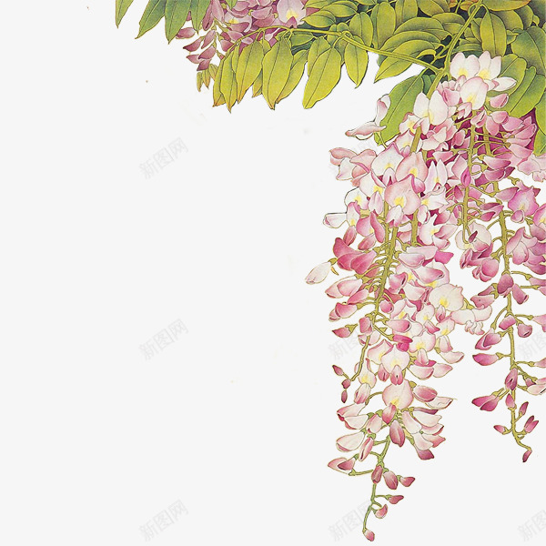 花枝png免抠素材_新图网 https://ixintu.com 粉色 花串 花朵 花枝