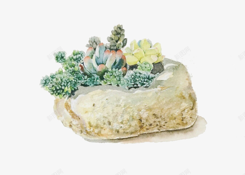 手绘石器与多肉植物psd免抠素材_新图网 https://ixintu.com 多肉 小清新 手绘 石器花盆