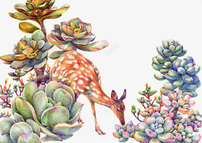 唯美场景图png免抠素材_新图网 https://ixintu.com 动物 多肉 小鹿 植物 水彩画