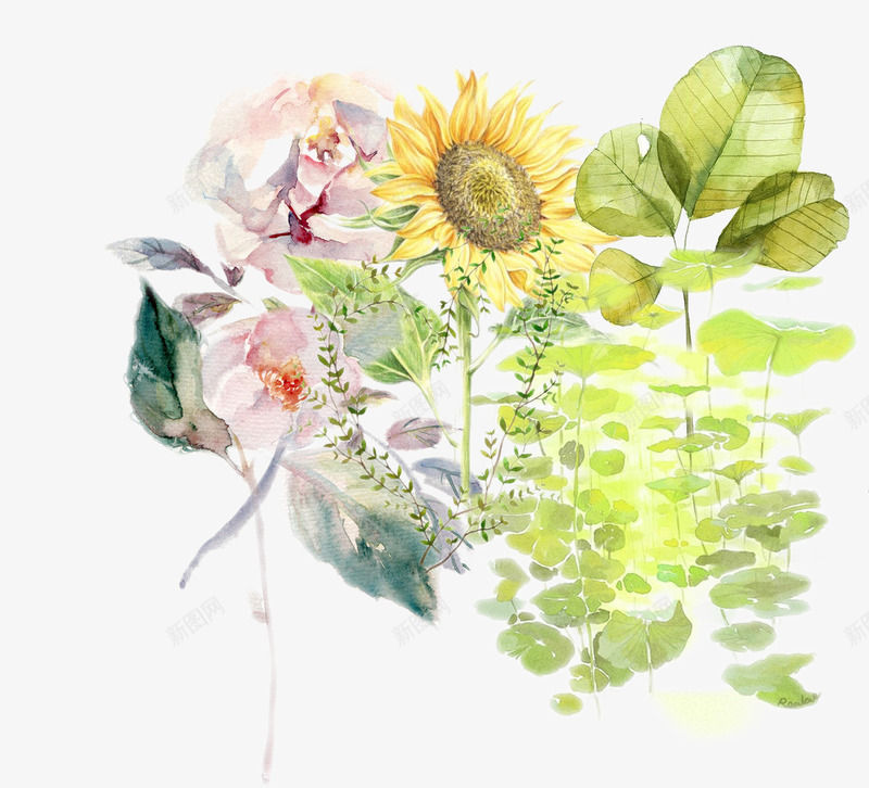 手绘夏日植物集合png免抠素材_新图网 https://ixintu.com 夏日植物 植物手绘 水彩手绘 绿色植物