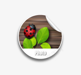 彩色照片图标psd_新图网 https://ixintu.com 卷叶图标程序图标 照片 电脑图标 白色 立体图标 红色 绿色 被色