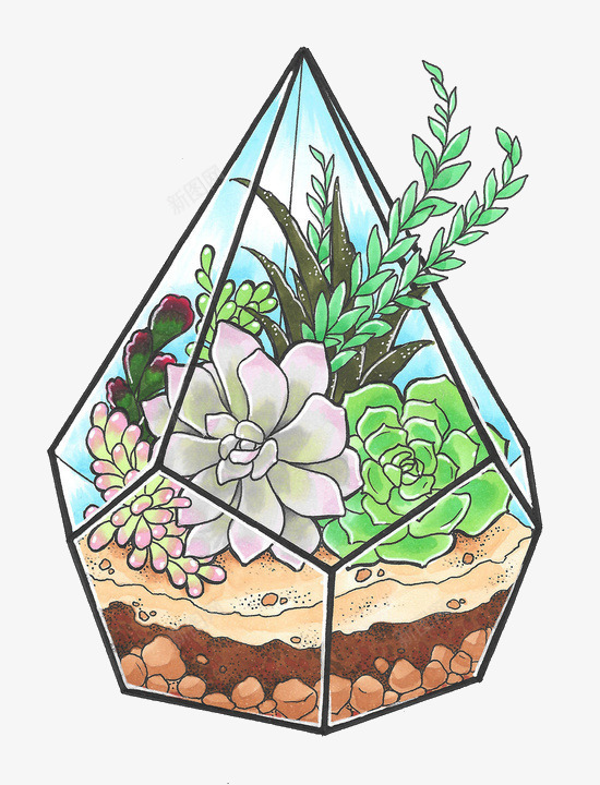 卡通仙人掌多肉植物png免抠素材_新图网 https://ixintu.com 仙人掌 卡通 多肉植物 手绘 花卉