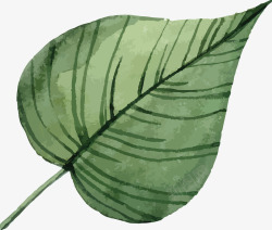 手绘水彩夏季植物叶子矢量图素材