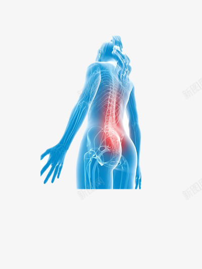 医院透视人体png免抠素材_新图网 https://ixintu.com 人体 人体轮廓图 医院 经脉 透视 骨骼