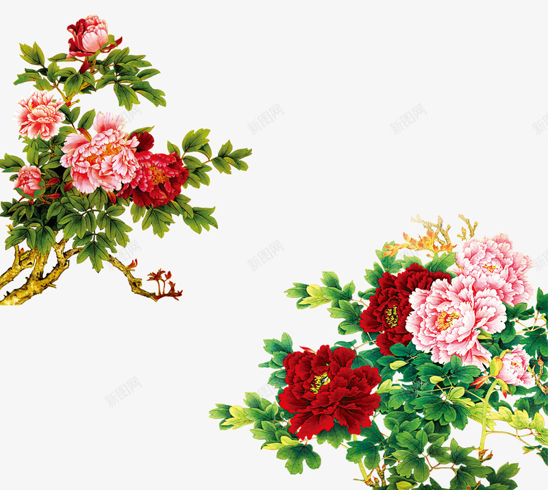 花枝花束艳梅牡丹花png免抠素材_新图网 https://ixintu.com 中国风水墨画 五彩缤纷