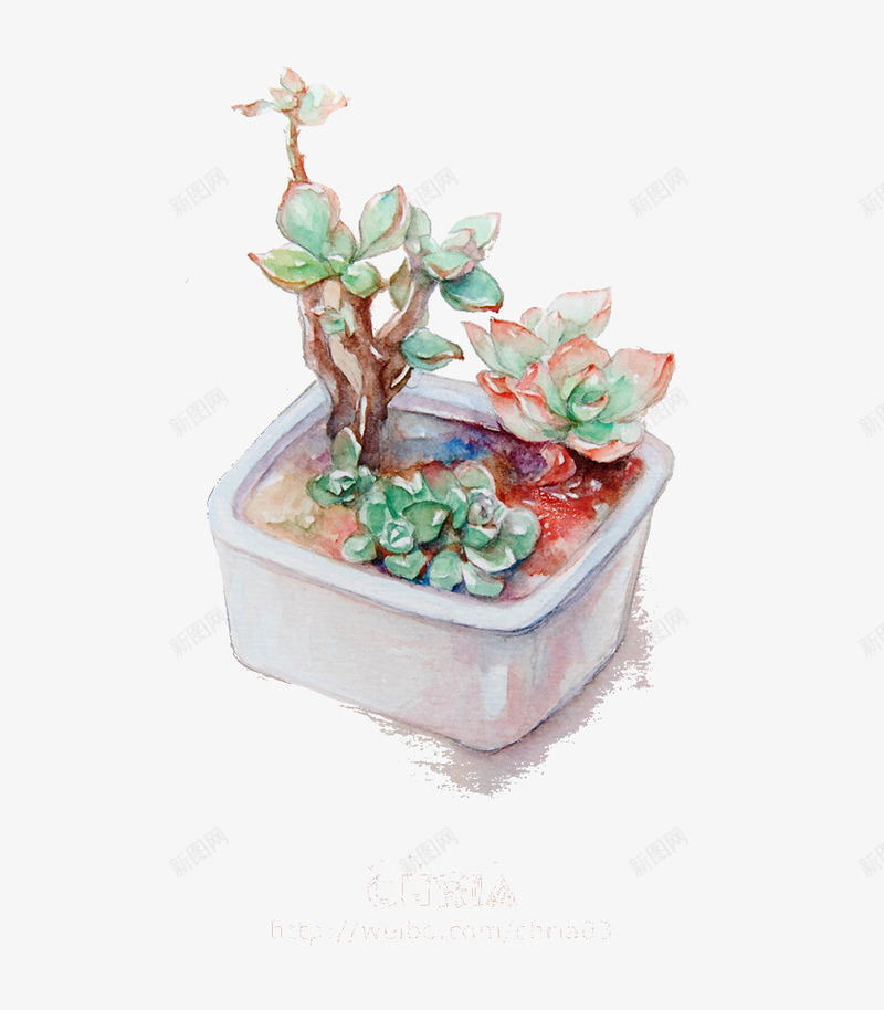 植物png免抠素材_新图网 https://ixintu.com 多肉 手绘 水彩画