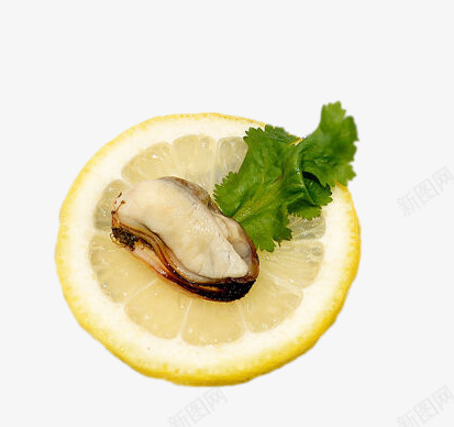 创意柠檬上的冷冻舟山贻贝肉png免抠素材_新图网 https://ixintu.com 产品实物 免费png素材 冷冻 创意柠檬上的冷冻舟山贻贝肉 海鲜 生鲜食品 绿色食品