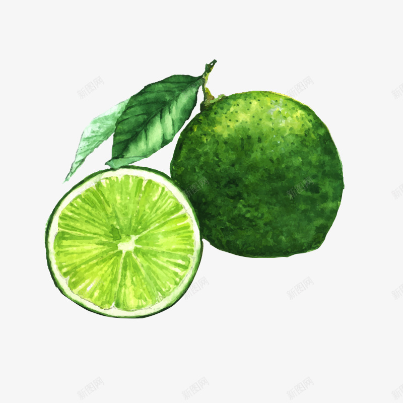 手绘青柠檬png免抠素材_新图网 https://ixintu.com 健康 水果 绿色 酸