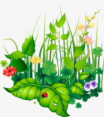 摄影夏日手绘花朵草丛png免抠素材_新图网 https://ixintu.com 夏日 摄影 花朵 草丛