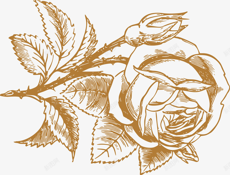 彩绘玫瑰花png免抠素材_新图网 https://ixintu.com 刺 彩绘 玫瑰花 纹路 花叶 花枝 花瓣 花蕊