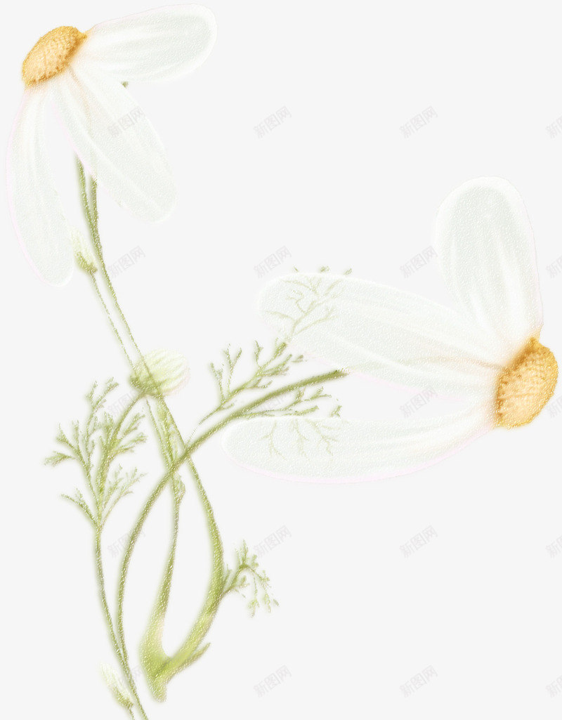 创意手绘花枝png免抠素材_新图网 https://ixintu.com 创意花枝 手绘花枝 花朵 花枝