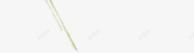 创意手绘花枝png免抠素材_新图网 https://ixintu.com 创意花枝 手绘花枝 花朵 花枝