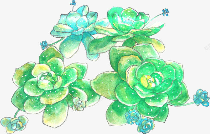 手绘绿色多肉植物盆栽png免抠素材_新图网 https://ixintu.com 多肉植物 多肉盆栽 手绘 手绘绿植 盆栽 绿色多肉