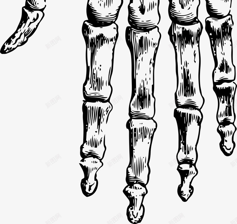 人骨简图图标png_新图网 https://ixintu.com 卡通 手 手指 手绘 简图 骨关节 骨头 黑色