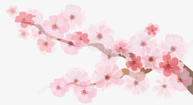 手绘水彩桃花枝装饰图案psd免抠素材_新图网 https://ixintu.com PNG 手绘 桃花枝 水彩 装饰图案