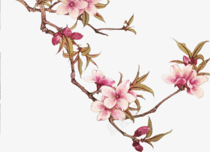 桃花粉色花枝海报背景png免抠素材_新图网 https://ixintu.com 桃花 海报 粉色 背景 花枝