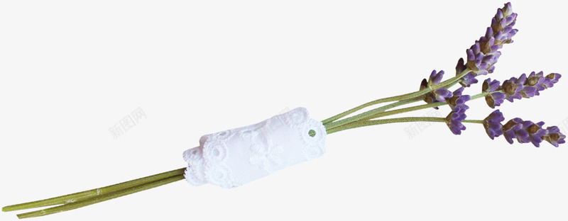 包装紫色花束png免抠素材_新图网 https://ixintu.com 紫色花束 花束 花枝 鲜花