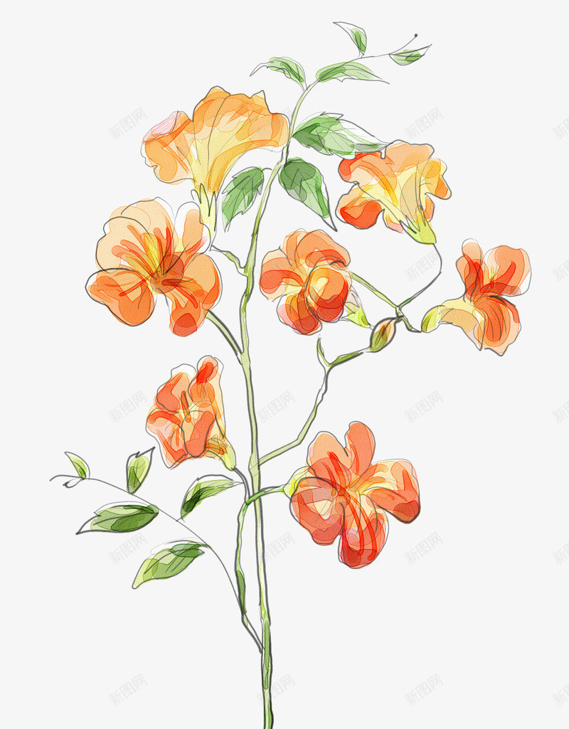 手绘花朵卡通鲜花png免抠素材_新图网 https://ixintu.com 卡通 卡通手绘花枝免费下载 手绘 手绘花朵图片素材卡通鲜花素材 手绘鲜花 花朵素材 花枝 鲜花元素 鲜花图片素材 鲜花花卉