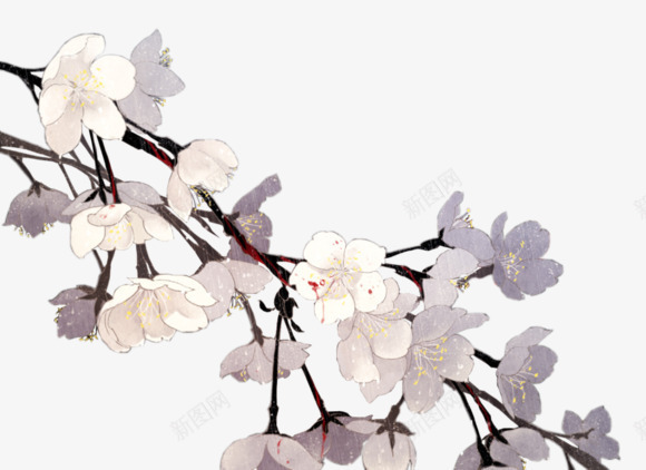 手绘花枝白色小花png免抠素材_新图网 https://ixintu.com 白色 花枝