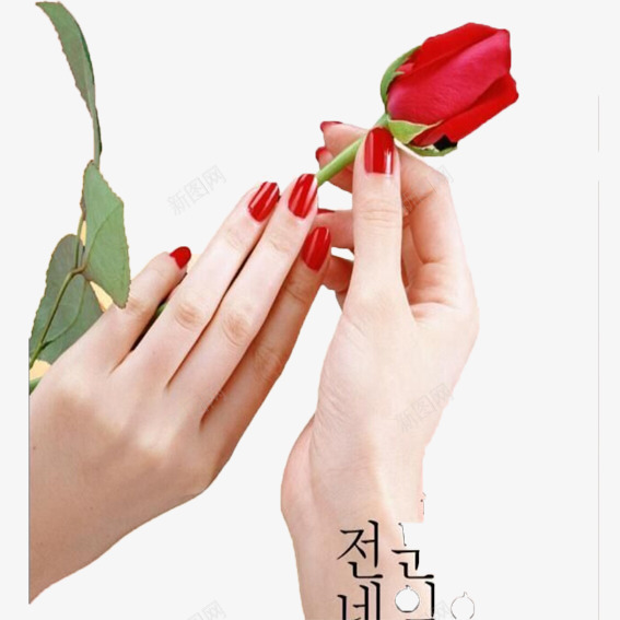 美甲广告png免抠素材_新图网 https://ixintu.com 手指 指上芭蕾 时尚 红色系美甲 美甲广告 设计 颜色搭配