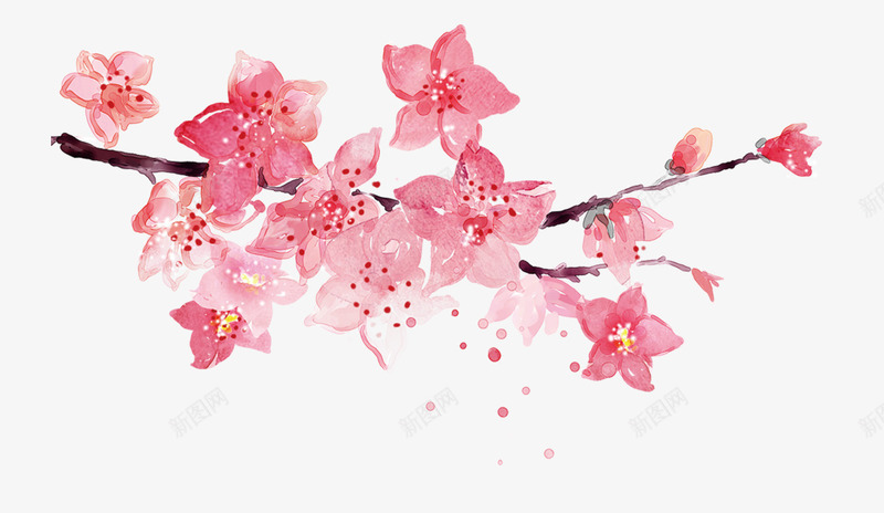 红色中国风花枝装饰图案png免抠素材_新图网 https://ixintu.com 中国风 免抠PNG 红色 花枝 装饰图案