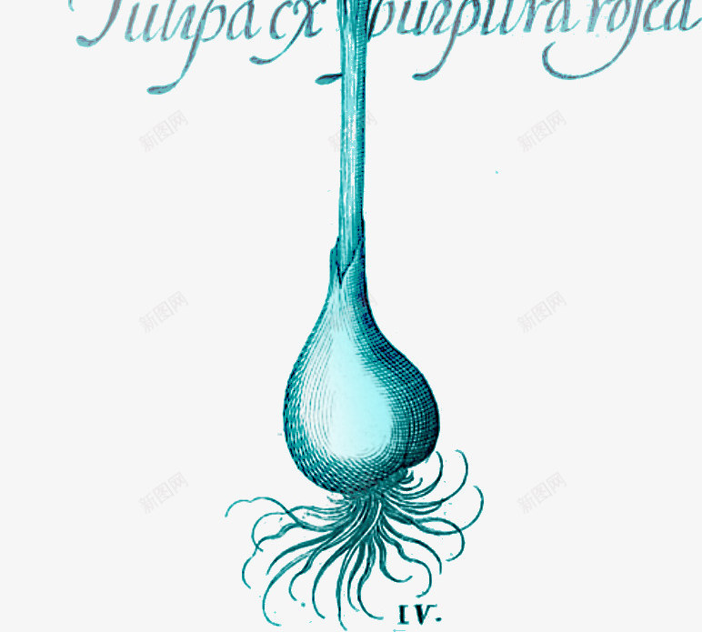 花卉图案ps花卉蓝色唯美png免抠素材_新图网 https://ixintu.com 唯美 国画花卉素材 水彩花卉 花卉插画 花枝 花草素材 蓝色 鲜花花卉