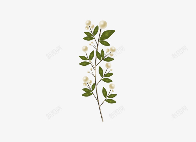 装饰花枝乳白色小花png免抠素材_新图网 https://ixintu.com 小花 白色 装饰花
