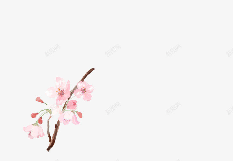 粉色桃花花枝png免抠素材_新图网 https://ixintu.com 桃花 粉色 花枝