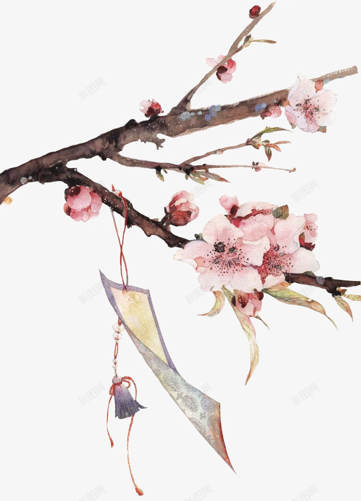 白花手绘白花花枝png免抠素材_新图网 https://ixintu.com 手绘 白花 白花花