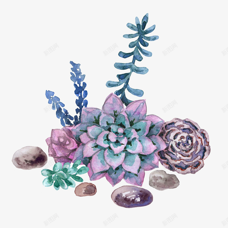 多肉png免抠素材_新图网 https://ixintu.com 多肉 手绘 植物 盆栽 花卉