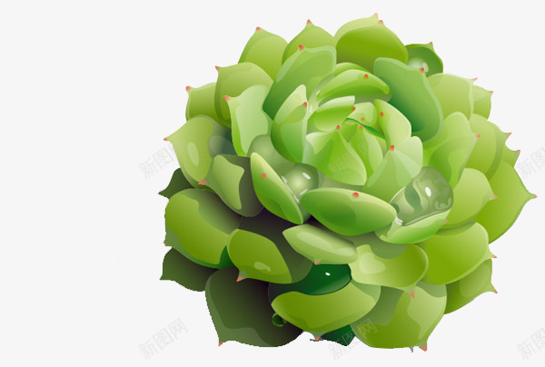 植物装饰png免抠素材_新图网 https://ixintu.com 多肉 植物 环保 生态 绿色