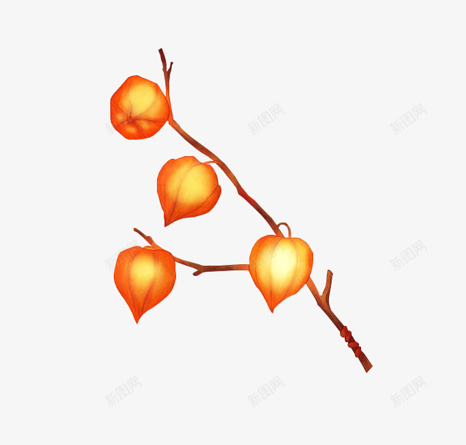 中国风灯笼花png免抠素材_新图网 https://ixintu.com 喜庆 灯笼 灯笼花 节日 过年