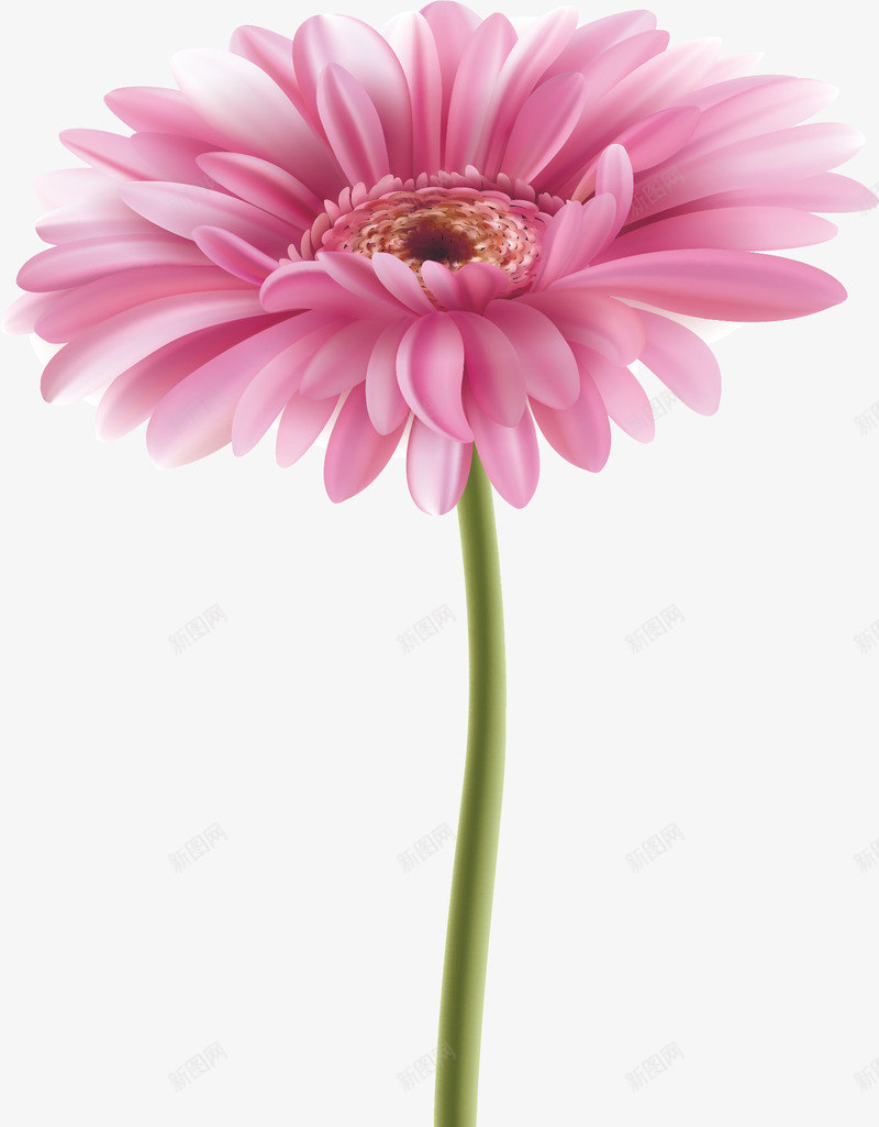 水彩画鲜花png免抠素材_新图网 https://ixintu.com 水彩画 花枝 花瓣 鲜花