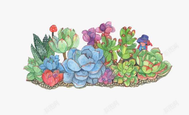 多肉png免抠素材_新图网 https://ixintu.com 多肉 手绘植物 插画 景观
