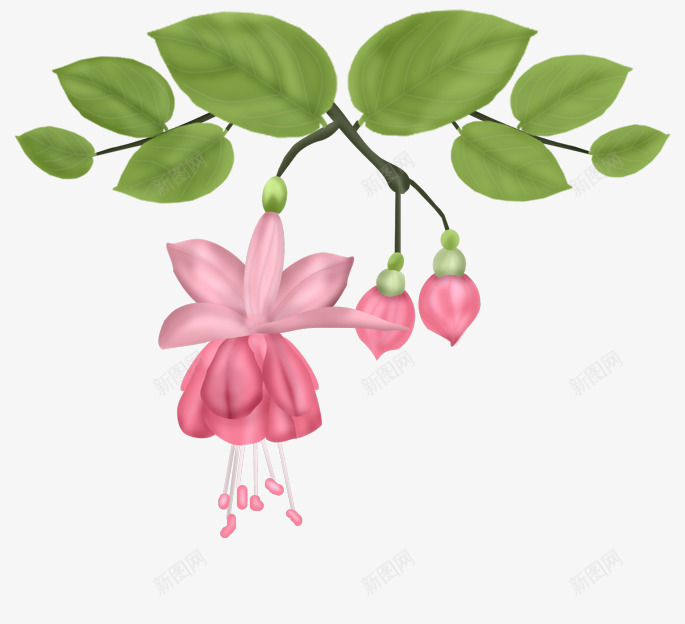 叶子吊花绿叶花枝png免抠素材_新图网 https://ixintu.com 叶子 绿 花