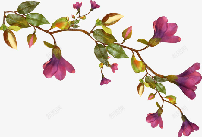 花枝花草红色花朵花树png免抠素材_新图网 https://ixintu.com 红色 花朵 花枝 花草