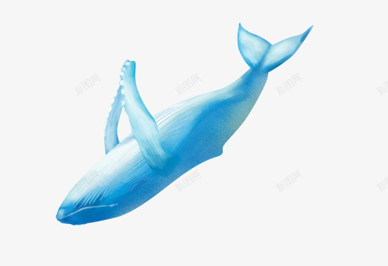 卡通可爱小动物装饰动物头像png免抠素材_新图网 https://ixintu.com 动物可爱 卡通动物 小清新海报设计 手绘动物头像 萌萌哒的小动物 装饰卡通 鲸鱼