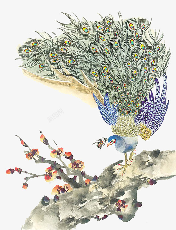 花枝png免抠素材_新图网 https://ixintu.com 孔雀 工笔画 树叶