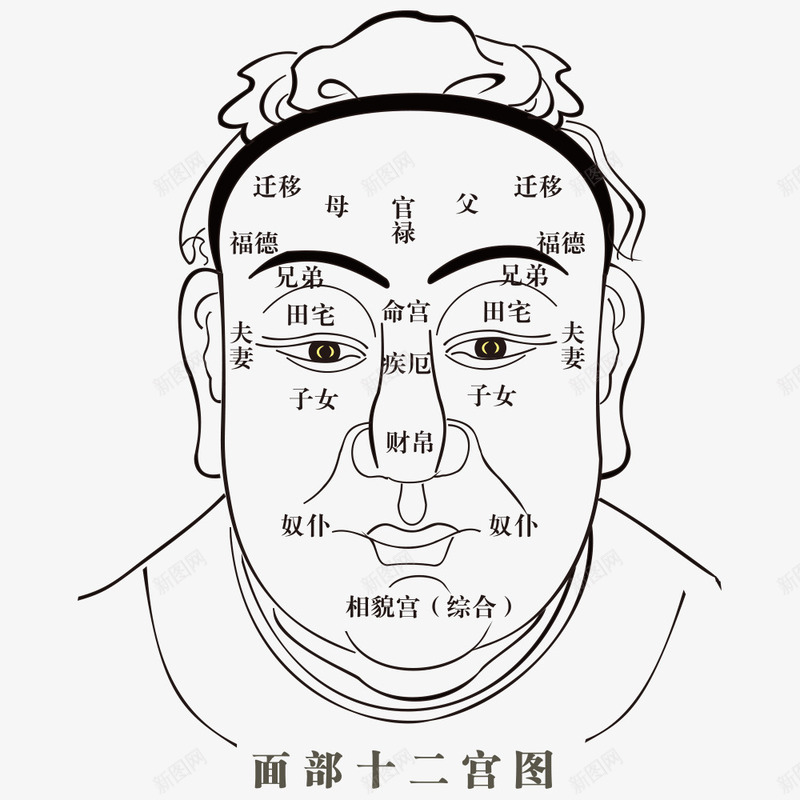 人体穴位png免抠素材_新图网 https://ixintu.com 人体 人体穴位 十二宫图 头像 穴位 穴道 脸部穴位 面部 面部穴位