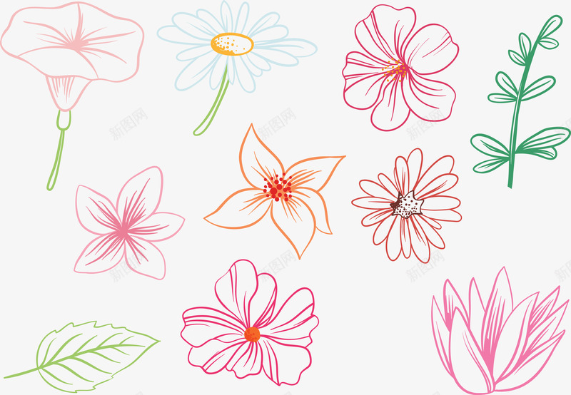 芙蓉莲花自然简单花卉png免抠素材_新图网 https://ixintu.com 自然 芙蓉 花卉 莲花