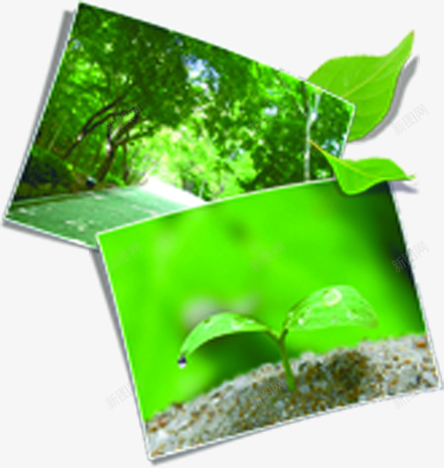 清新春季植物小路照片png免抠素材_新图网 https://ixintu.com 小路 春季 植物 清新 照片