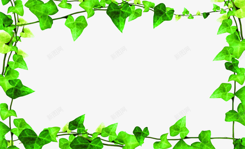 绿色清新环保树叶边框png免抠素材_新图网 https://ixintu.com 树叶 清新 环保 绿色 边框